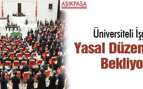 Üniversiteli İşçiler Yasal Düzenleme Bekliyor