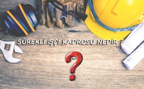 Kamu İşçileri Hangi Kadro türünde yer alıyor ?