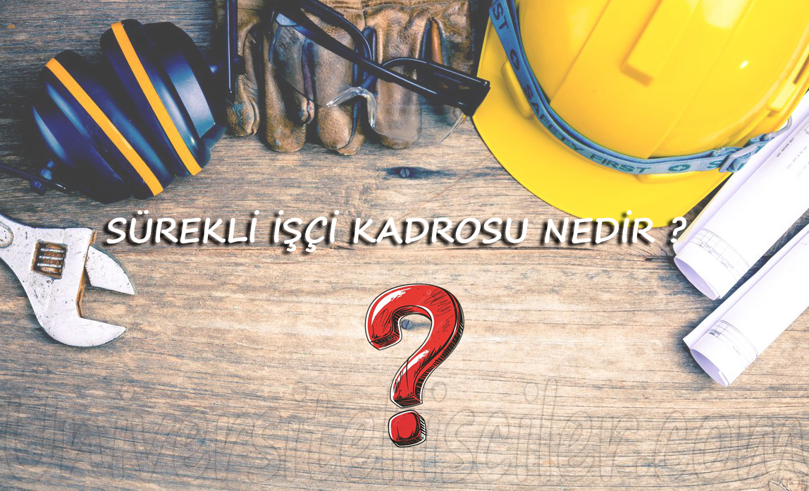 Kamu İşçileri Hangi Kadro türünde yer alıyor ?